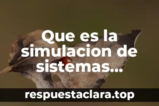 Que es la simulacion de sistemas productivos