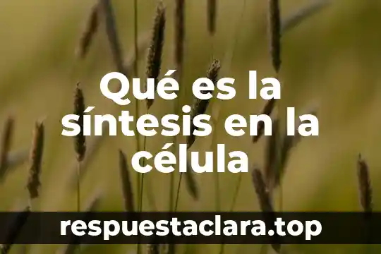 Qué es la síntesis en la célula