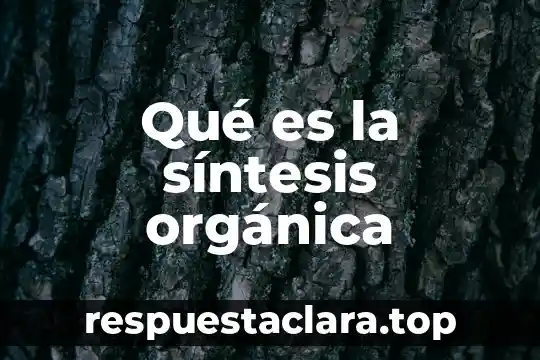 Qué es una síntesis y cómo se elabora 3 Qué es la síntesis orgánica