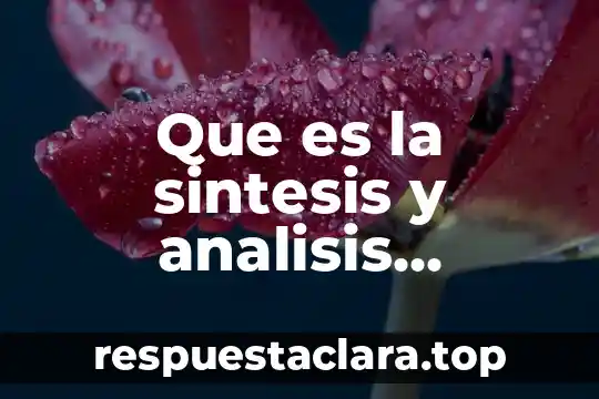 Qué es una síntesis y cómo se elabora 6 Que es la sintesis y analisis quimicos