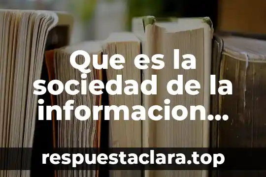 Que es significa informacion 7 Que es la sociedad de la informacion redalyc