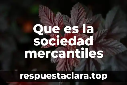 Qué es sociedad capitalista 4 Que es la sociedad mercantiles