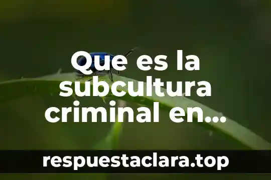 Que es la subcultura criminal en mexico ejemplos
