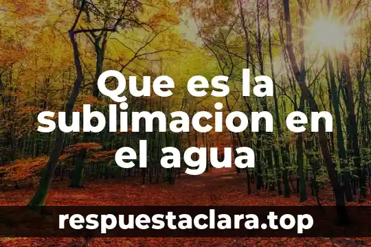 Que significa que es bajarse al agua 8 Que es la sublimacion en el agua