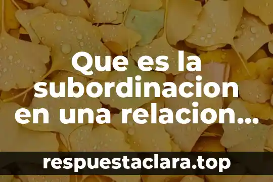 Que es la subordinacion en una relacion de servicios