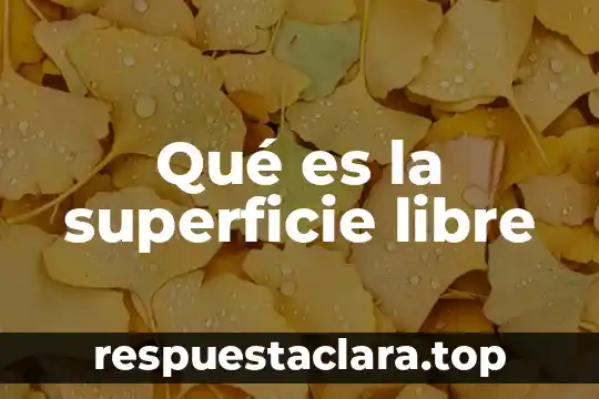 Que es el estudio del movimiento de la superficie terrestre 5 Qué es la superficie libre