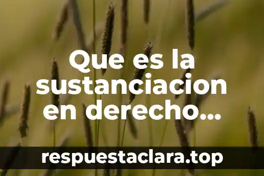 Que es la sustanciacion en derecho civil