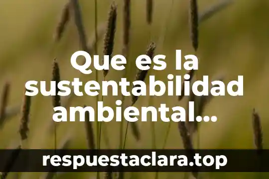 Que es la sustentabilidad ambiental resumen