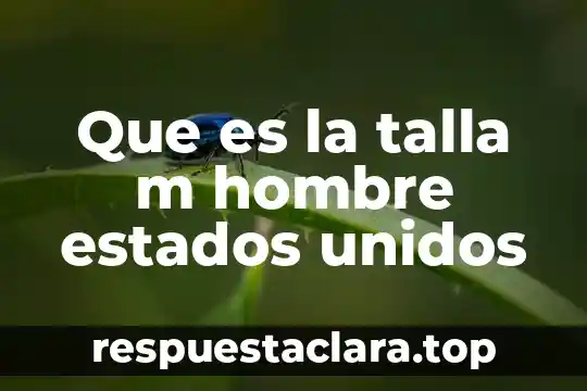 Que es la talla m hombre estados unidos