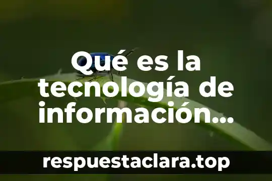 Qué es la tecnología de información computacional
