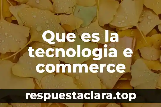 Que es la tecnologia e commerce