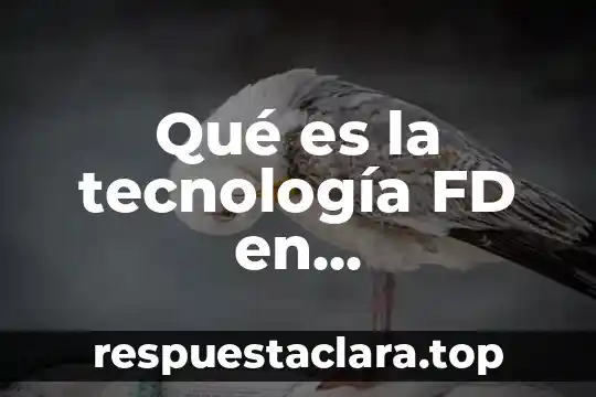 Que es una anomalia en la tecnologia 4 Qué es la tecnología FD en amplificadores
