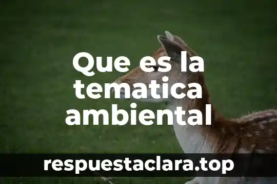 Que es la tematica ambiental