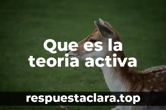Que es ser pasiva o activa 6 Que es la teoria activa