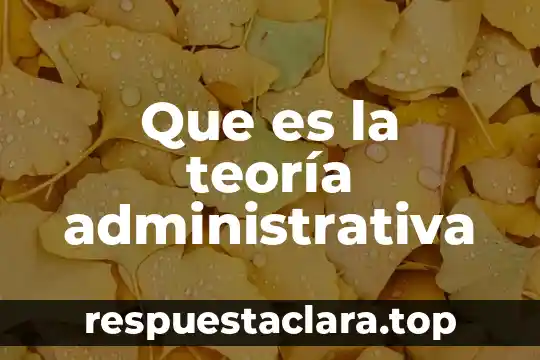 Que es la teoría administrativa