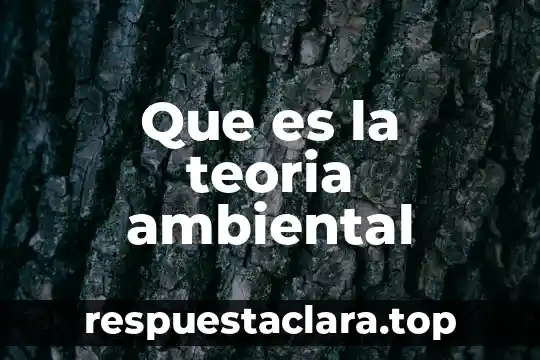 Qué es la educación ambiental definición 8 Que es la teoria ambiental