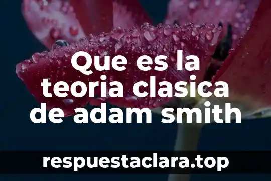 Concepto de que es la economia de adam smith 3 Que es la teoria clasica de adam smith