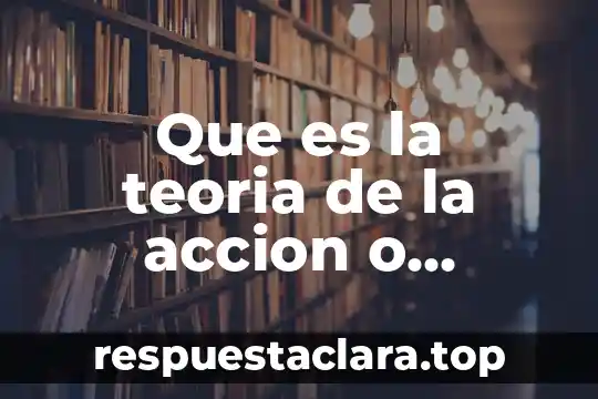 Que es la teoria de la accion o actividad