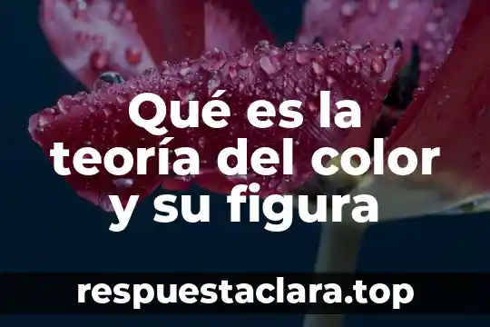 Que es una unidad de disco mouse 6 Qué es la teoría del color y su figura
