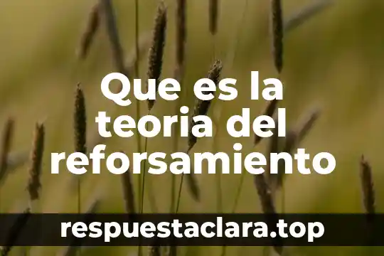 Que es la teoria del reforsamiento
