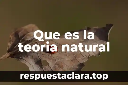 Que es la teoria natural