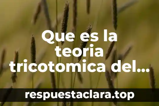 Que es la teoria tricotomica del derecho autores