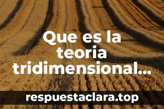 Que es la teoria tridimensional del derecho miguel reale