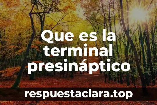 Que es la terminal presináptico