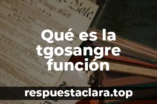 Qué es la tgosangre función