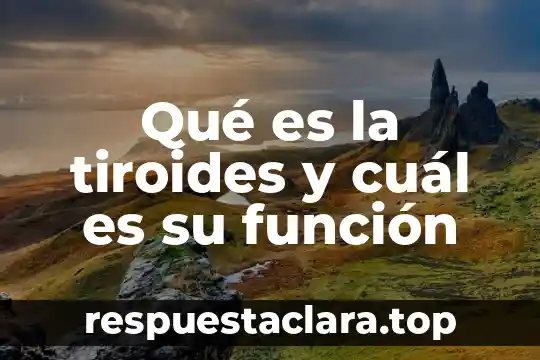 Qué es la tiroides y cuál es su función