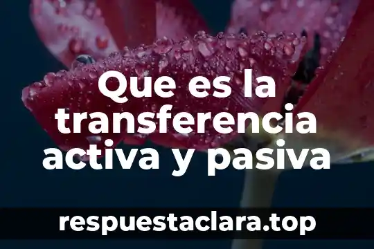 Que es la transferencia activa y pasiva