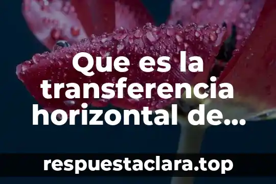 Que es la transferencia horizontal de información genética