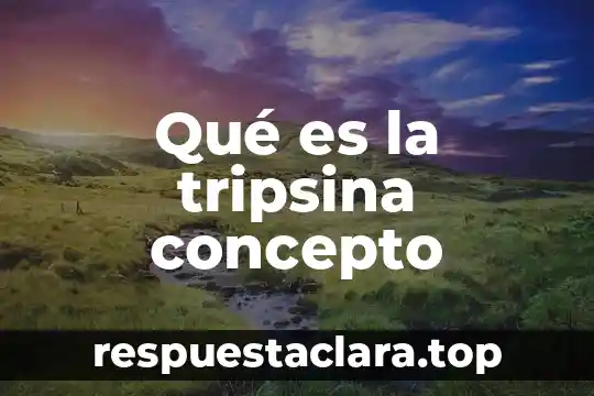 Qué es la tripsina concepto