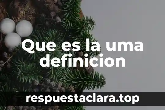 Que es la uma definicion