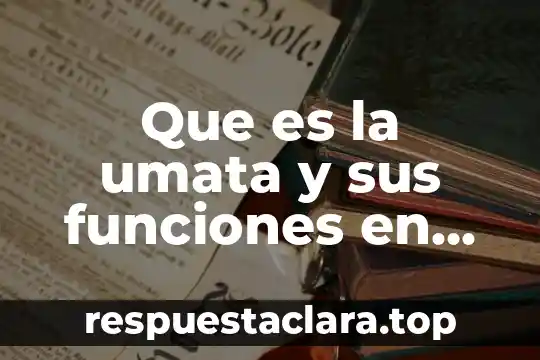 Que es la umata y sus funciones en mexico