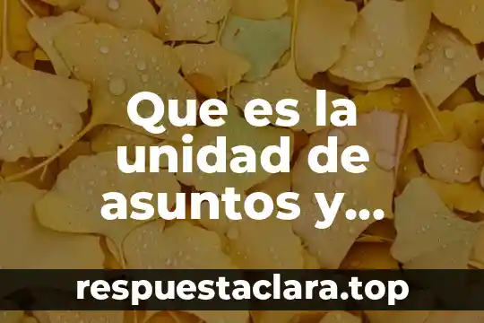 Que es la unidad de asuntos y cooperación internacionales