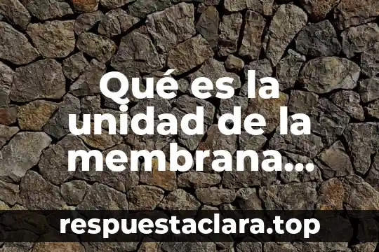 Qué es la unidad de la membrana plasmática