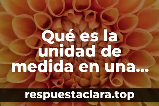 Qué es la unidad de medida en una factura electrónica