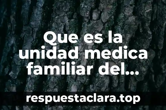 Que es la unidad medica familiar del imss culiacan 055