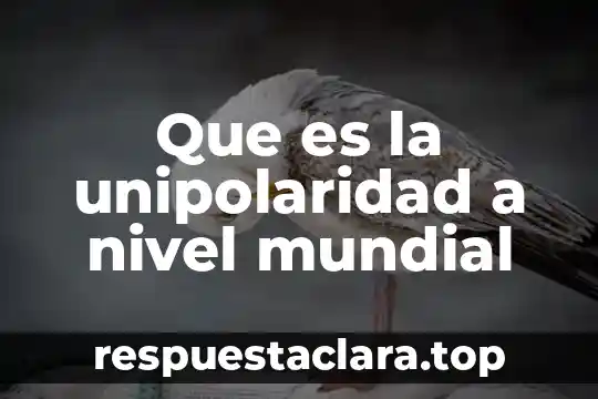 Qué es el nivel de confianza estadística 5 Que es la unipolaridad a nivel mundial