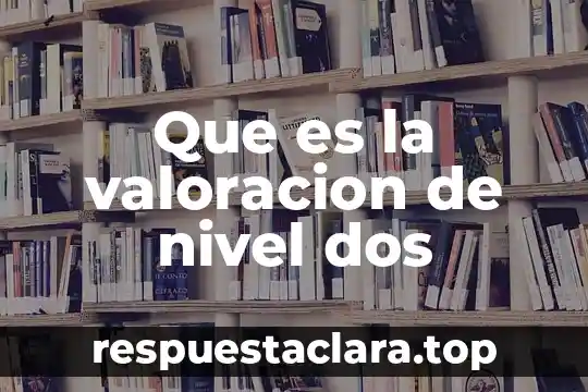 Que es un cuadro de valoracion 7 Que es la valoracion de nivel dos