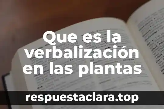 Que es la verbalización en las plantas