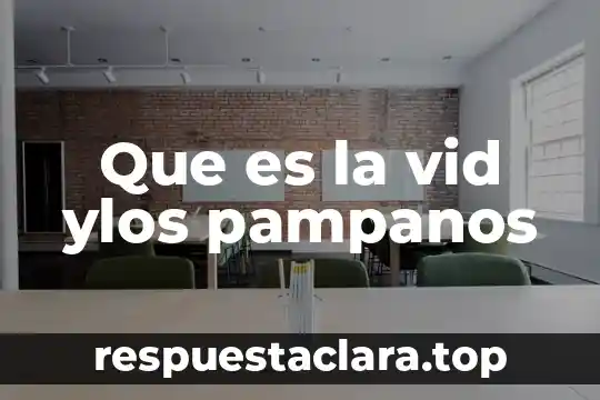 Que es la vid ylos pampanos