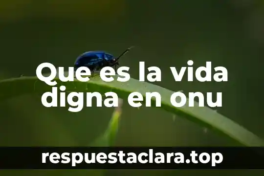 Que es la vida digna en onu