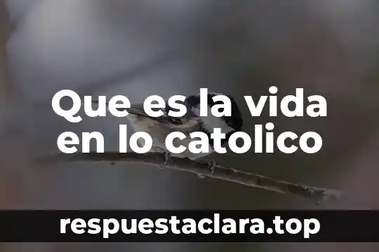 Qué es católico significado 5 Que es la vida en lo catolico