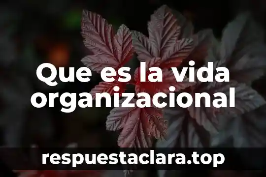 Que es la vida organizacional