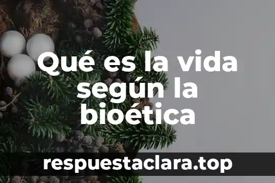 Qué es la vida según la bioética