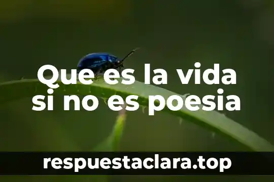 Que es la vida si no es poesia