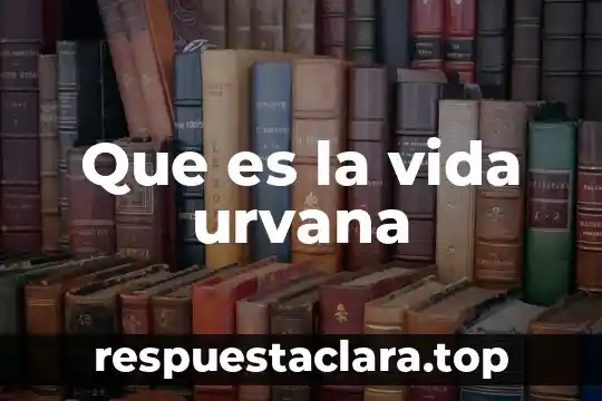 Qué es una vida necia en filosofía 7 Que es la vida urvana