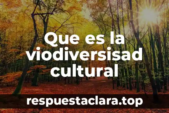 Qué es una apropiación cultural 6 Que es la viodiversisad cultural